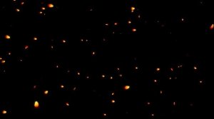 4K Falling Petals Flower Background 4K Video