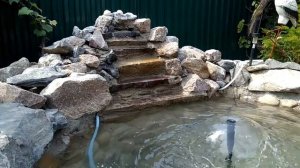 Пруд с фонтаном и водопадом своими руками. Запуск осетров и карпа кои, а также посадки водяной лили