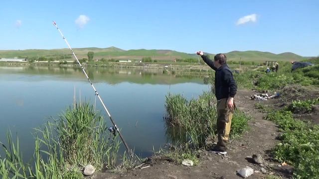 Рыбалка в мае на карася, карпа, окуня. Но карась - это король водоема смотреть онлайн