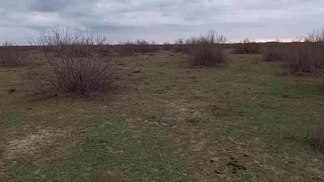 Охота на зайца 30 декабря 2023 года смотреть онлайн