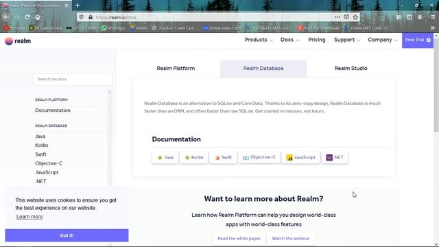 Installation | RealM Android Tutorials [Hindi] | Part-2 | 2020 смотреть онлайн