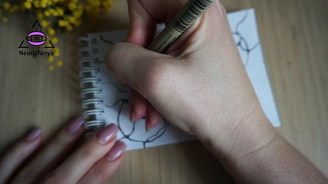 Учиться и получать важные знания Шаг №6 Нейрографика по книге Бодо Шефер. Формируем жизнь и ценност смотреть онлайн