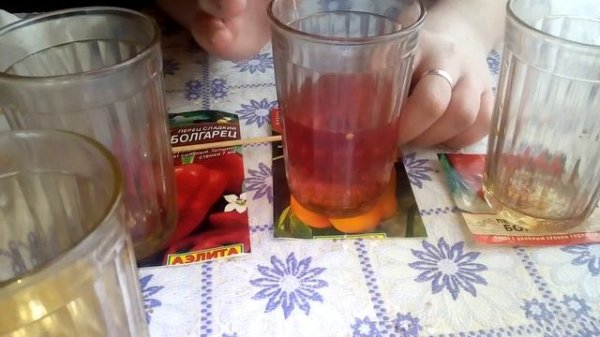 Семена перцев.ЧАСТЬ 1 Замачивание,обработка,проращивание. Подготовка к посадке.