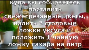 ЕСЛИ ОПРЫСКИВАТЬ ВАШИ РАСТЕНИЯ УКСУСОМ, ВОТ ЧТО ПРОИЗОЙДЕТ!