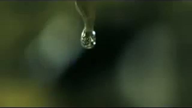 Serie Nature L_Oreal Professionnel смотреть онлайн