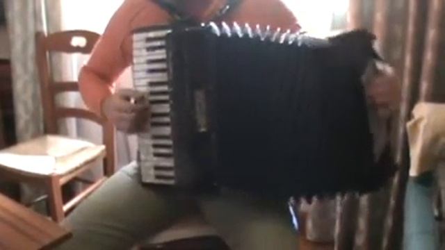 Acordeon Pigini Convertor II смотреть онлайн
