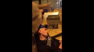 ПРИКОЛ НАД ДРУГОМ КОРОВА НАСРАЛА НА ГОЛОВУ