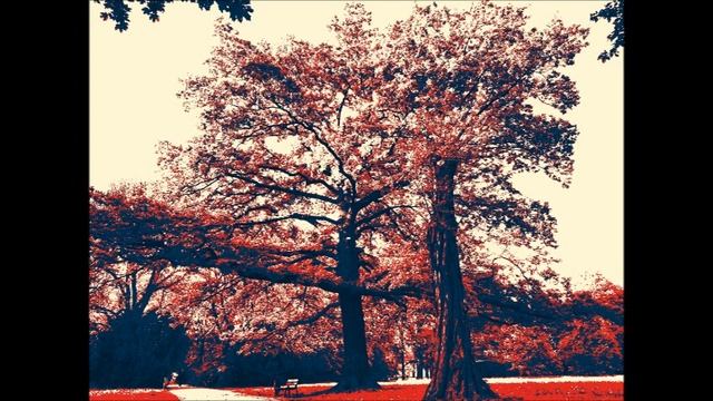 KneToNatoR - Disco Fever смотреть онлайн