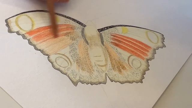 Бабочка.Как Нарисовать.Цветными Карандашами.Butterfly.How to paint .Painting for beginners. смотреть онлайн