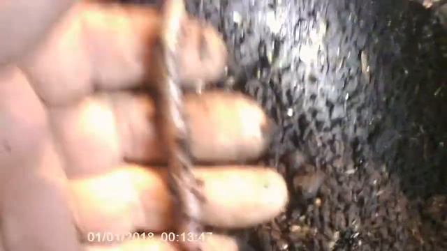 3 поколения маточников на торфе смотреть онлайн