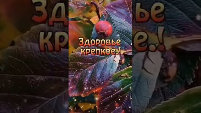 Доброго осеннего утра! смотреть онлайн