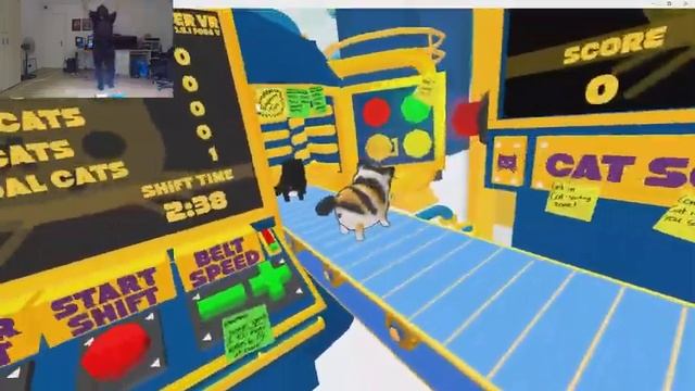 VR Sunday: Cat Sorter VR смотреть онлайн