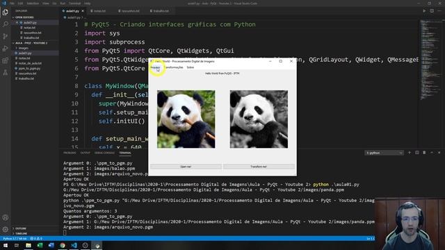 PDI - Semana 13: PyQt5 - Especificação do trabalho + desafio - aula 04 смотреть онлайн