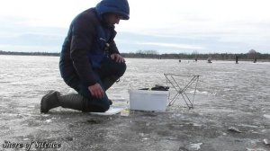 Ловля окуня зимой. Окунь на чёртик. Ушастая сова на рыбалке!