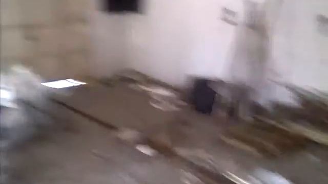 proximo local punto y coma express смотреть онлайн