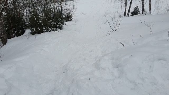 Прогулка от Абрамцево до Хотьково. Московская обл.07.02.2023 смотреть онлайн