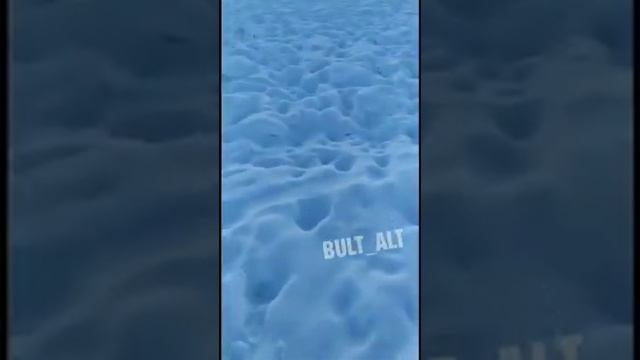 На стойбище в Якутии напали волки смотреть онлайн