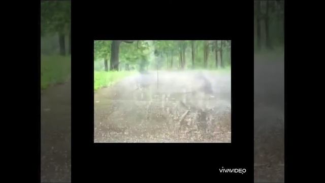 А. Вівальді .Пори року. Літо- "Гроза". смотреть онлайн