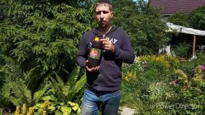 Беседка из поддонов!