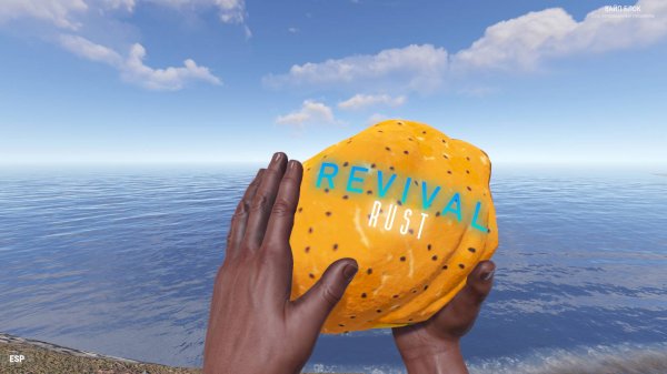 КАК СКАЧАТЬ БЕСПЛАТНЫЙ РАСТ ДЛЯ СЛАБЫХ ПК