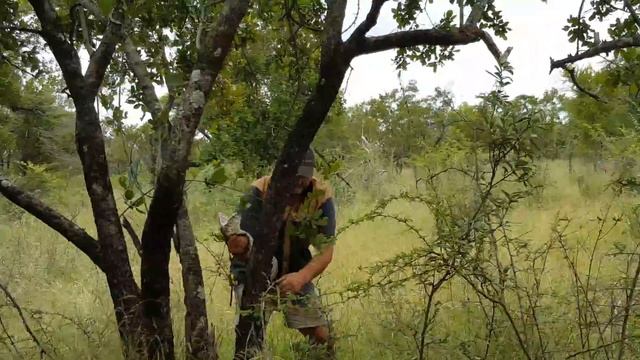 Arthur Roden vs 3.9m rock python смотреть онлайн