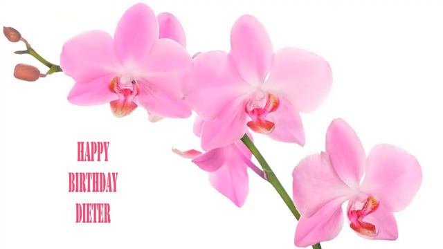 Dieter Flowers & Flores - Happy Birthday смотреть онлайн