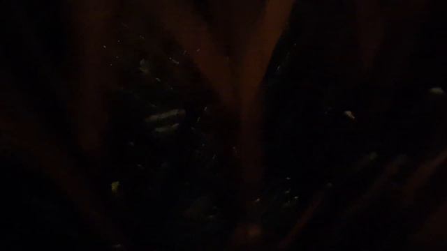 Original old Stigler traction elevator @ Calea Moșilor, no. 126A, Bucharest, Romania смотреть онлайн