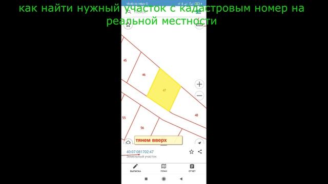 поиск участка с кадастровым номером смотреть онлайн