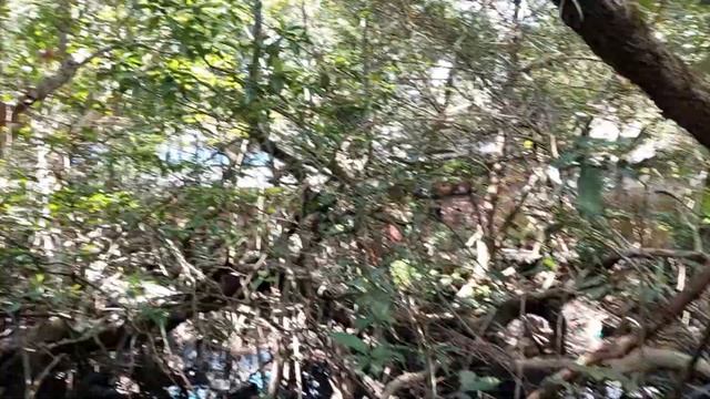 Тайланд, Ко Куд Часть 2 смотреть онлайн