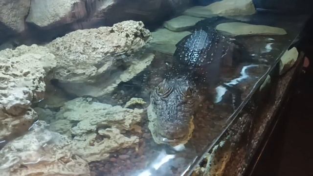 Где поесть в Петербурге? Индийская кухня Oh! Mumbai