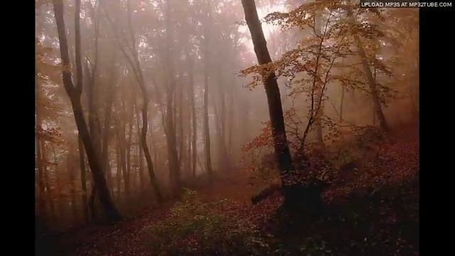 Високосный год - 1637 смотреть онлайн