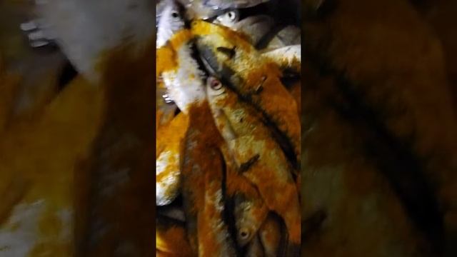 КАК ВЯЛИТЬ ЧЕХОНЬ? смотреть онлайн