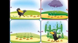 Русский язык, 2 класс  58 урок. Как ворона горох вырастила