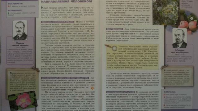 Биология (Л.Н.Сухорукова) 9к §26 Селекция - эволюция направляемая человеком смотреть онлайн