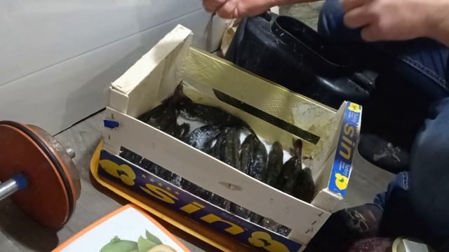 Сухой посол Хариуса на балконе смотреть онлайн