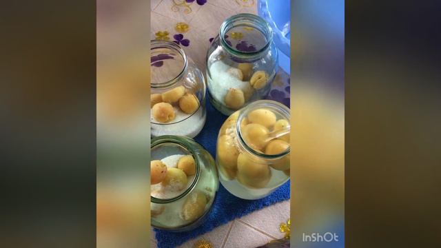 Абрикос компотын басып уйрену смотреть онлайн