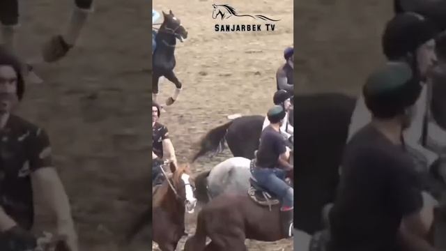 BOBURSHOH LEKSUS 600da