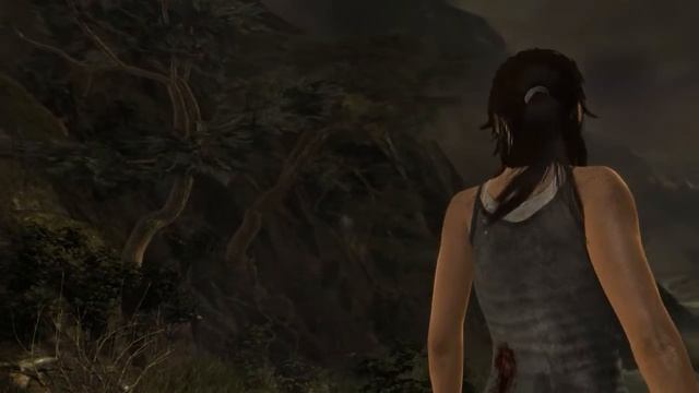 GTX 980 and FX 8150 Tomb Raider stres test смотреть онлайн
