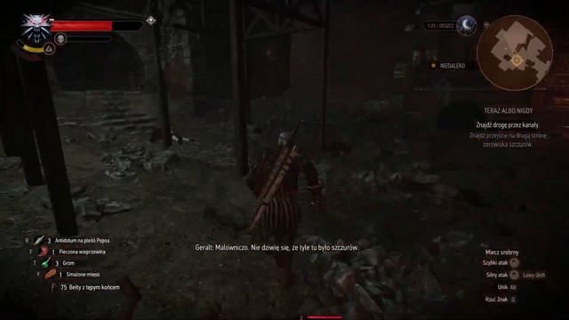 Wiedźmin 3 Dziki Gon #29 🧏♂️Teraz albo nigdy, czyli pomóc Triss !🧙♀️ смотреть онлайн