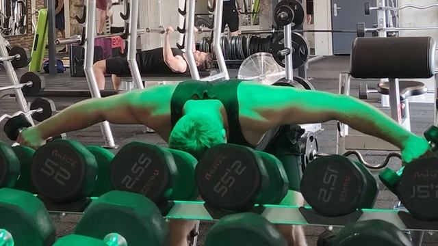 Майк Менцър ВИТ тренировка за рамена и ръце || Mike Mentzer HIT training for shoulders and arms смотреть онлайн
