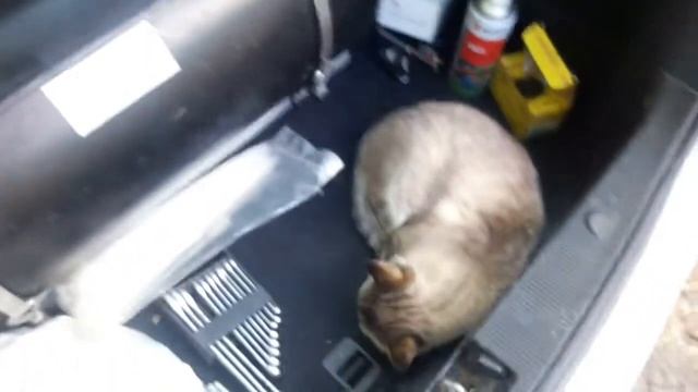 Как перекачать газ из машины в бытовой баллон смотреть онлайн