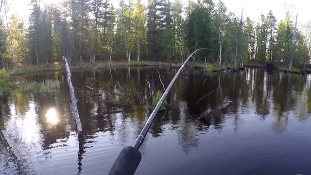 Щука с лодки в отвес! Язь и окунь на ультралайт! смотреть онлайн