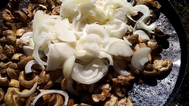 Куриная Сковородка с Грибами. В Сметанном Соусе. Пальчики-Оближешь!!! смотреть онлайн