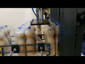Упаковочная машина МТУ «Вектор 600ПМ»