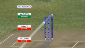 Крикет и как его комментировать: эксперимент