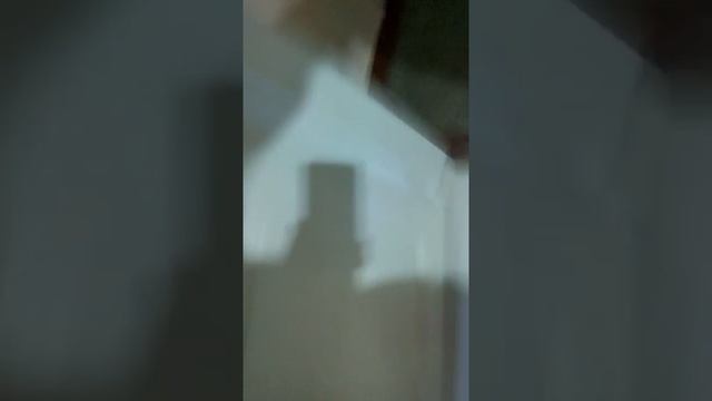 Вот зачем нужно двери закрывать!!))) смотреть онлайн