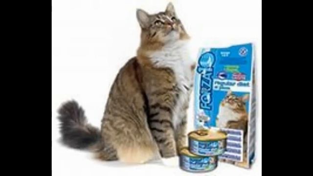 консервы royal canin для кошек смотреть онлайн