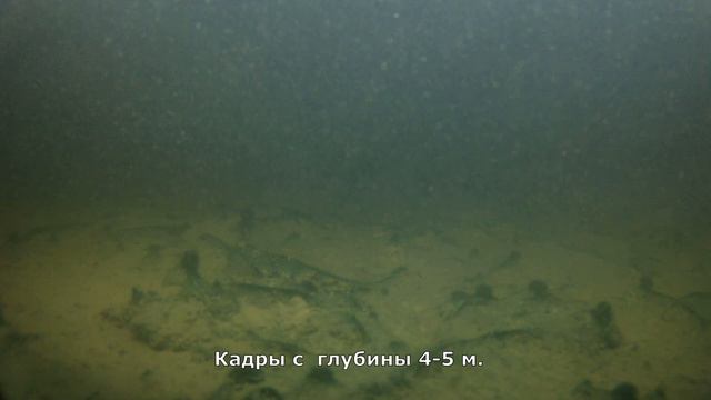 Желаемые виды: красота Озера БЕЛОЕ // Навашино . смотреть онлайн