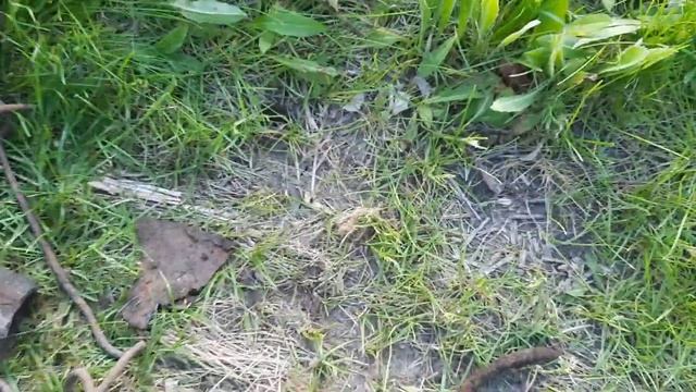 шикарный коп металла. классные находки! смотреть онлайн