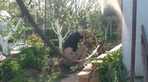 Арочная теплица из профильных труб своими руками